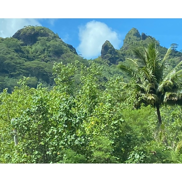 Meet your Posher, Nanci - Picture 2 of 2